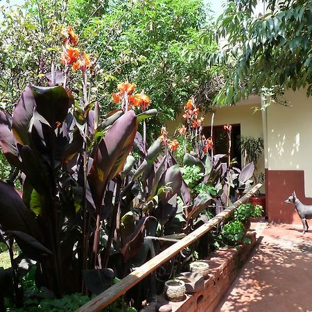 Kukuli Lodge B&B Куско Экстерьер фото